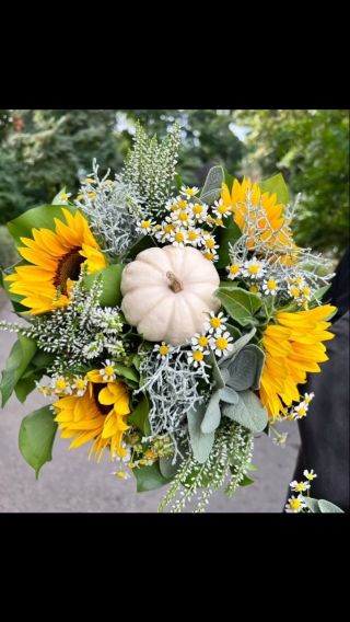 #sonnenblumen#kürbis#kamille#calocephalus#heidekraut#blumen stadtpark wien